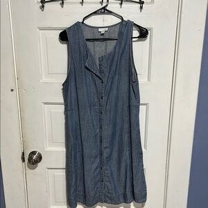 J.Jill Sleeveless Denim Button-Down Dress